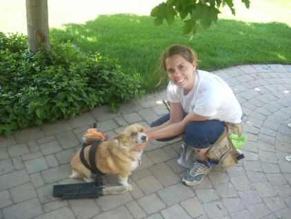 Window cleaning in Spanish Fork